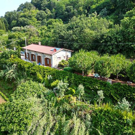 Agriturismo Le Fontane - Lago Di Bolsena Villa Grotte di Castro Kültér fotó