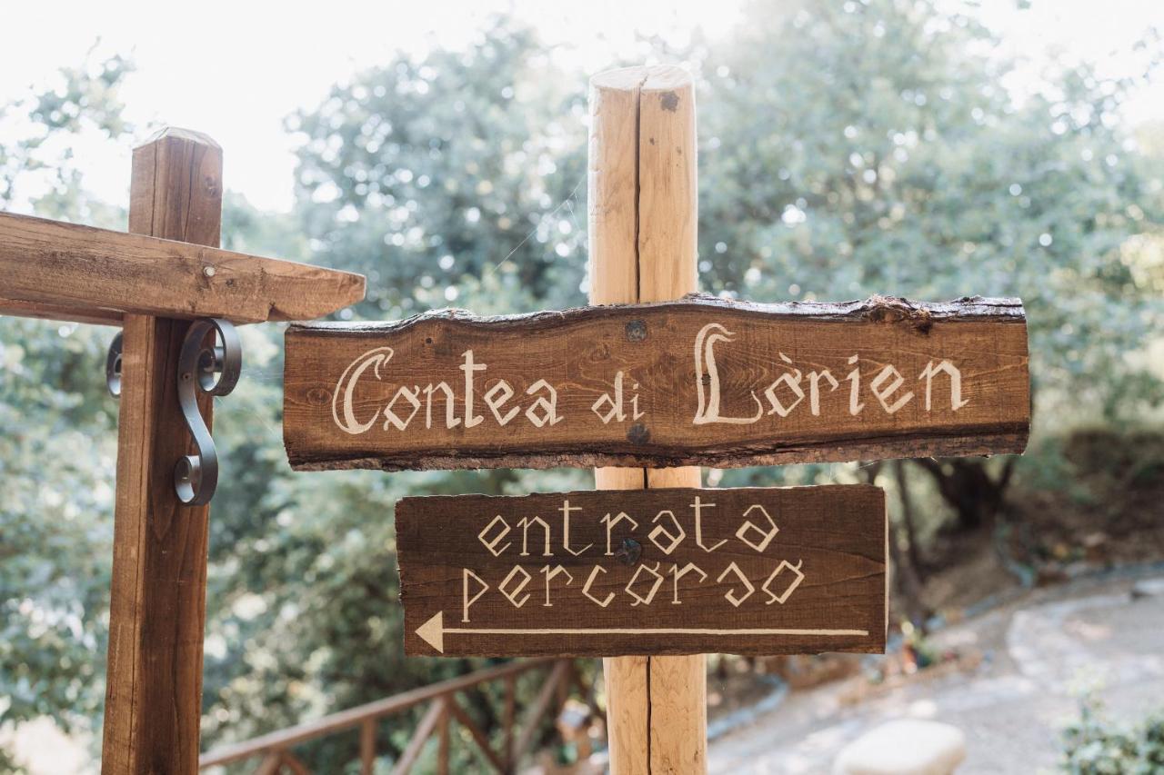 Agriturismo Le Fontane - Lago Di Bolsena Villa Grotte di Castro Kültér fotó